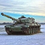 panzer-in-der-freien-natPanzer in der freien Natur im Winterur